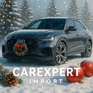 Carexpert Import
