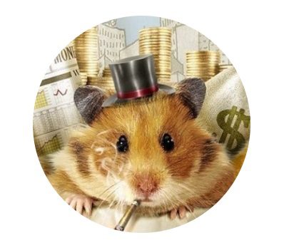  Хомяк активный