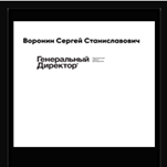Воронин Сергей Станиславович