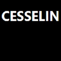 Cesselin