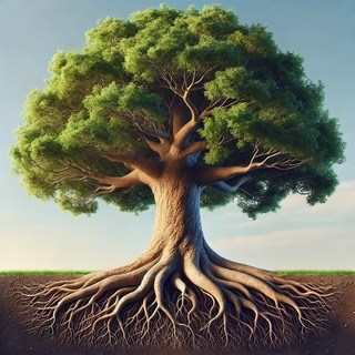 Тропа Стабильности