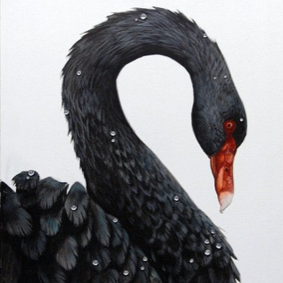 Blackswan