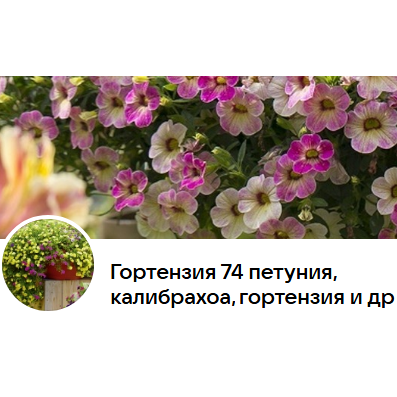 Вегетативные Черенки