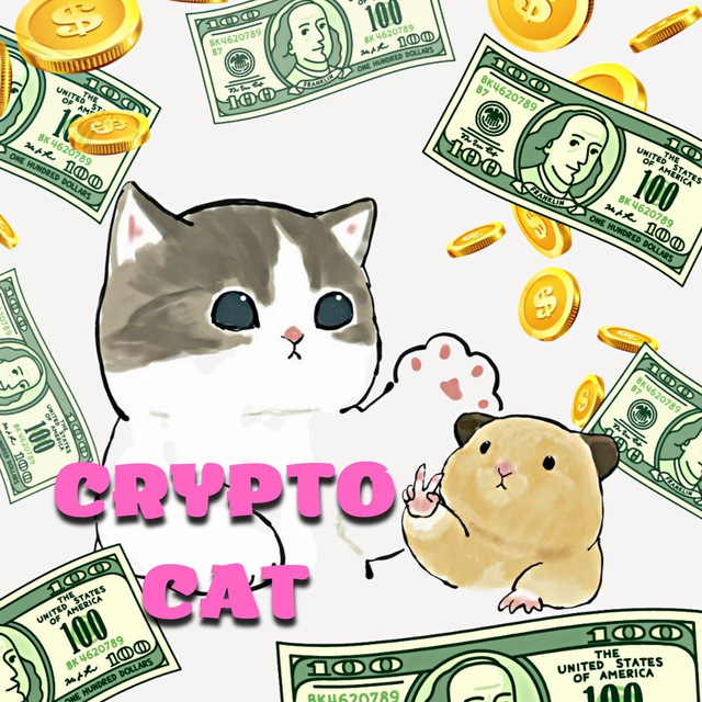 CryptoCat