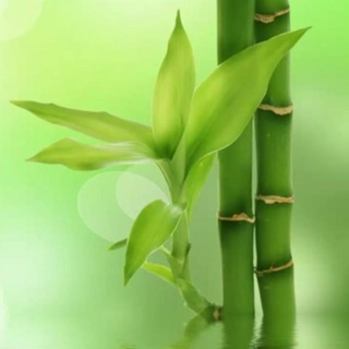 Анвар Садыков