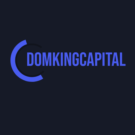 Domking Capital Ltd