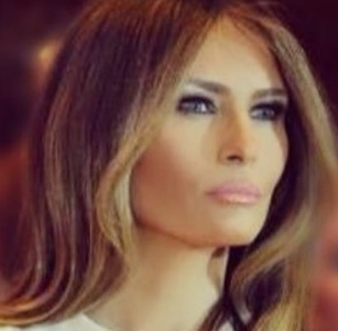Official Melania Meme